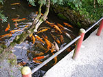 IMGP6980.jpg