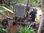 IMGP6990.jpg