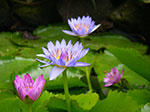 IMGP6991.jpg