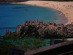 IMGP7003.jpg