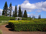 IMGP7011.jpg