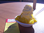 IMGP7016.jpg