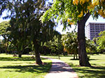 IMGP7047.jpg