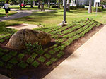 IMGP7137.jpg
