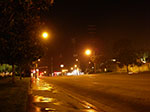IMGP7177.jpg