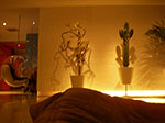 IMGP7180.jpg