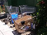 IMGP7188.jpg