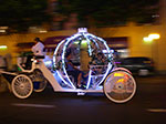 IMGP7209.jpg