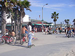 IMGP7223.jpg