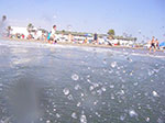 IMGP7261.jpg