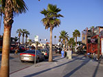IMGP7310.jpg