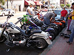 IMGP7321.jpg