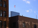 IMGP7331.jpg