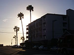 IMGP7400.jpg