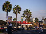IMGP7401.jpg