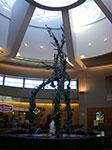 IMGP7421.jpg