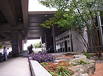 IMGP7443.jpg