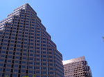 IMGP7455.jpg