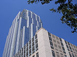 IMGP7456.jpg