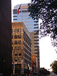 IMGP7468.jpg