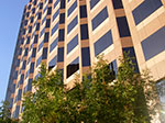 IMGP7474.jpg
