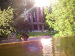 IMGP7475.jpg