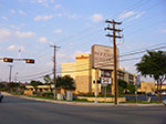 IMGP7507.jpg