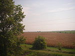 IMGP7605.jpg