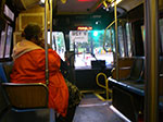 IMGP7623.jpg
