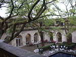 IMGP7716.jpg