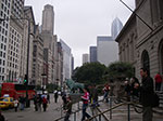 IMGP7726.jpg