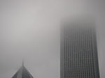 IMGP7731.jpg