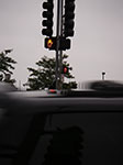 IMGP7736.jpg