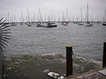 IMGP7739.jpg