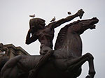 IMGP7768.jpg