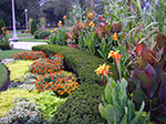IMGP7769.jpg