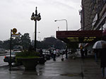IMGP7804.jpg