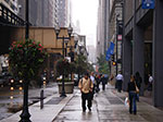 IMGP7812.jpg