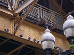 IMGP7814.jpg