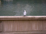 IMGP7819.jpg