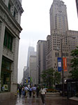 IMGP7824.jpg
