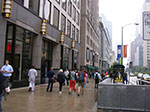 IMGP7826.jpg