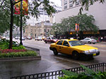 IMGP7830.jpg