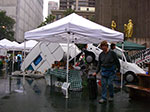 IMGP7834.jpg