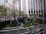 IMGP7850.jpg