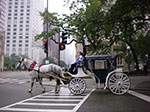 IMGP7857.jpg