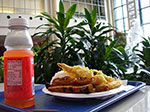 IMGP7861.jpg