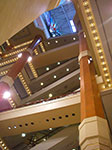 IMGP7865.jpg