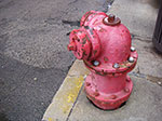 IMGP7878.jpg