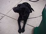 IMGP7886.jpg